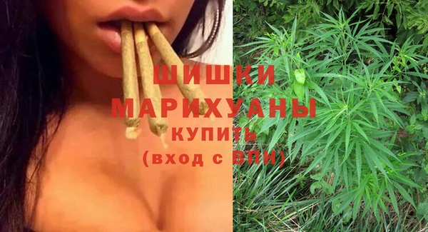 PSILOCYBIN Балахна